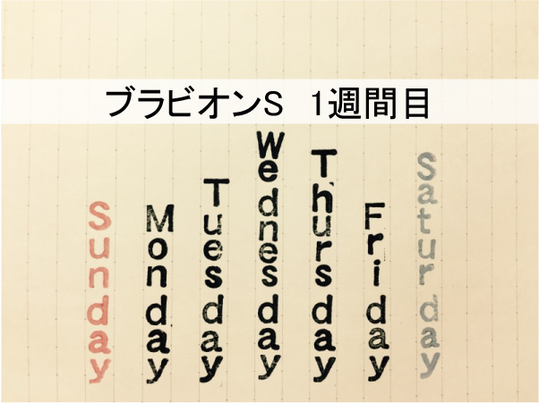 ブラビオンS1週間目