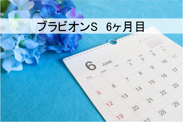 ブラビオンS6ヶ月目